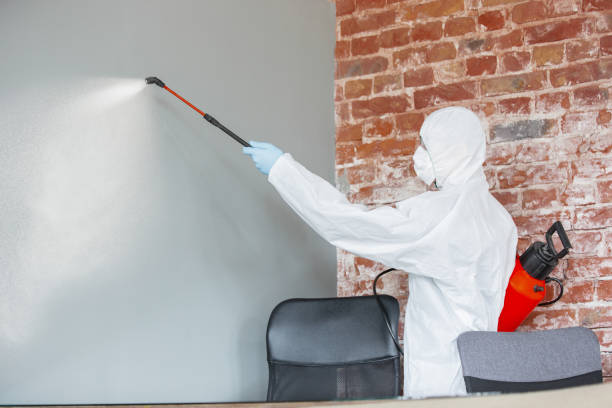 Best Mold Odor Removal Services  in North Arlington, NJ