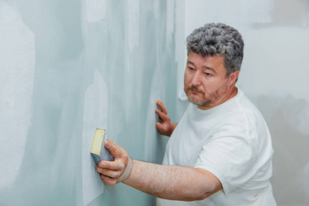 Best Water Damage & Mold Remediation  in North Arlington, NJ