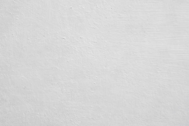 Best Mold Remediation for Vacation Homes  in North Arlington, NJ