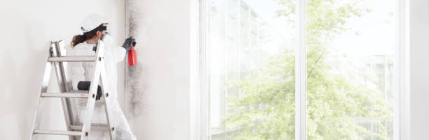 Best Post-Construction Mold Inspection  in North Arlington, NJ