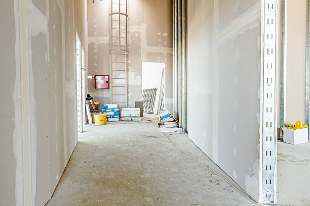 Best Biohazard Mold Removal  in North Arlington, NJ